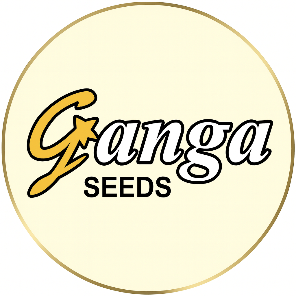 Ganga Seeds